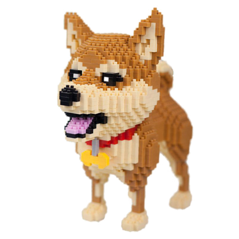 Kids Education And Recreation - รู้สร้าง Shiba Inu สุนัขรุ่น Micro Mini