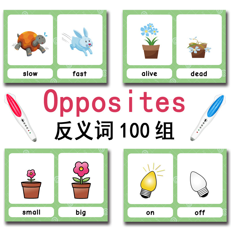 แฟลชการ์ดคำศัพท์ภาษาอังกฤษ 100 - Kids Education Learning บทวิจารณ์และราคา