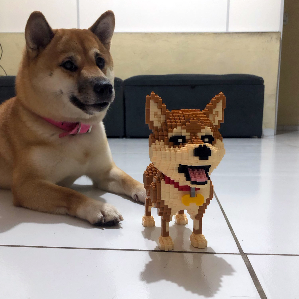 รู้สร้าง Shiba Inu สุนัขรุ่น M - Kids Education And Recreation บทวิจารณ์และราคา