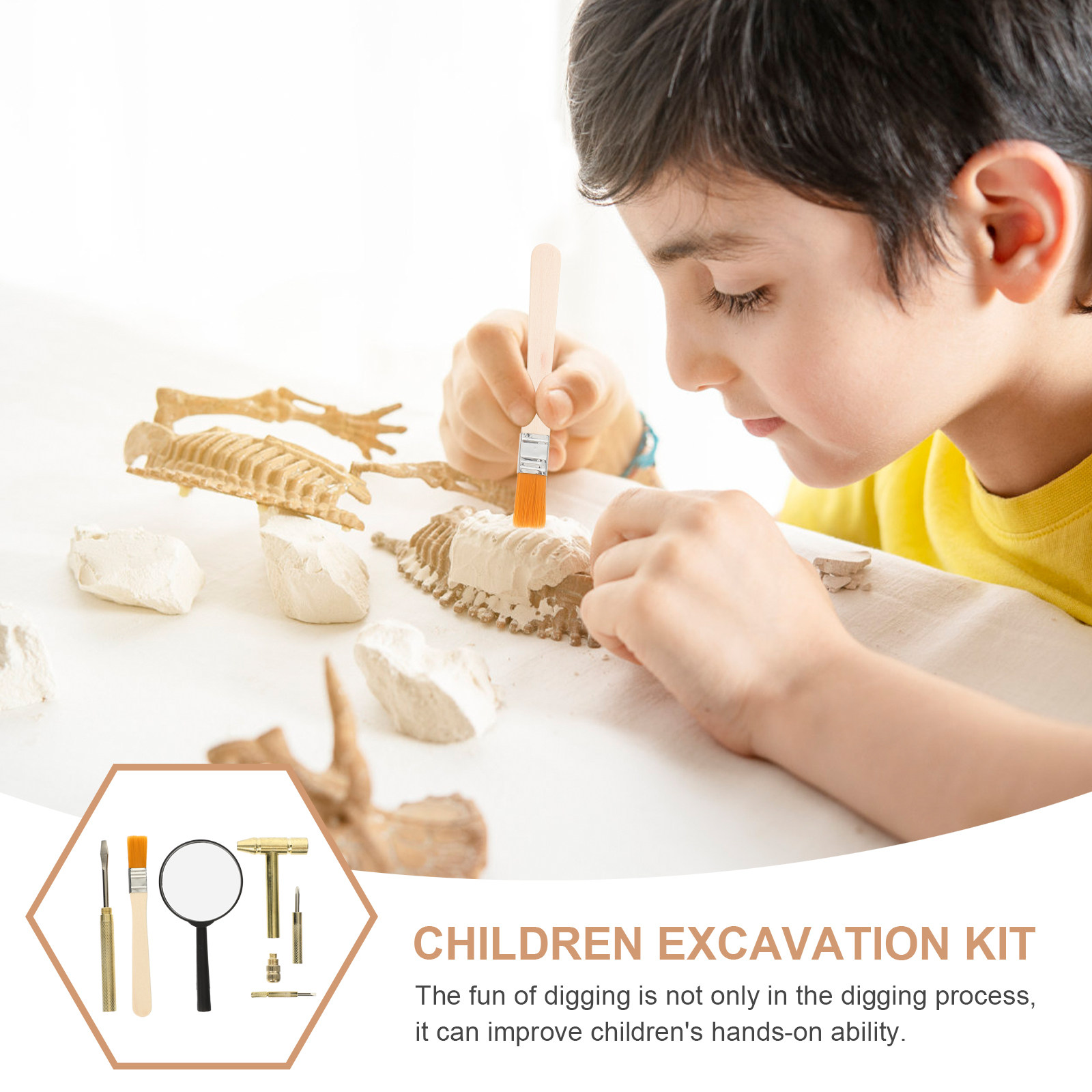 ชุดอุปกรณ์ขุดค้นทางการศึกษาสำห - Kids Education Tools บทวิจารณ์และราคา